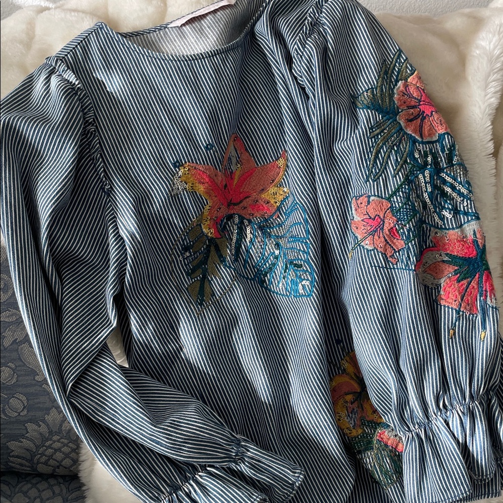 Zara Blue & White Striped Floral Embroidered Blouse
